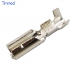 Wire Pins & Receptacle - PF403